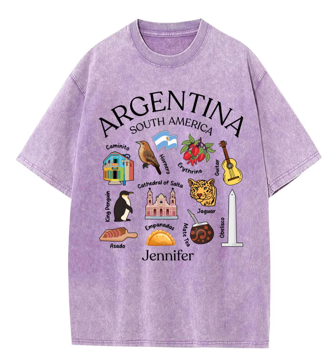 Custom Argentina South America Washed T-shirt With Your Name