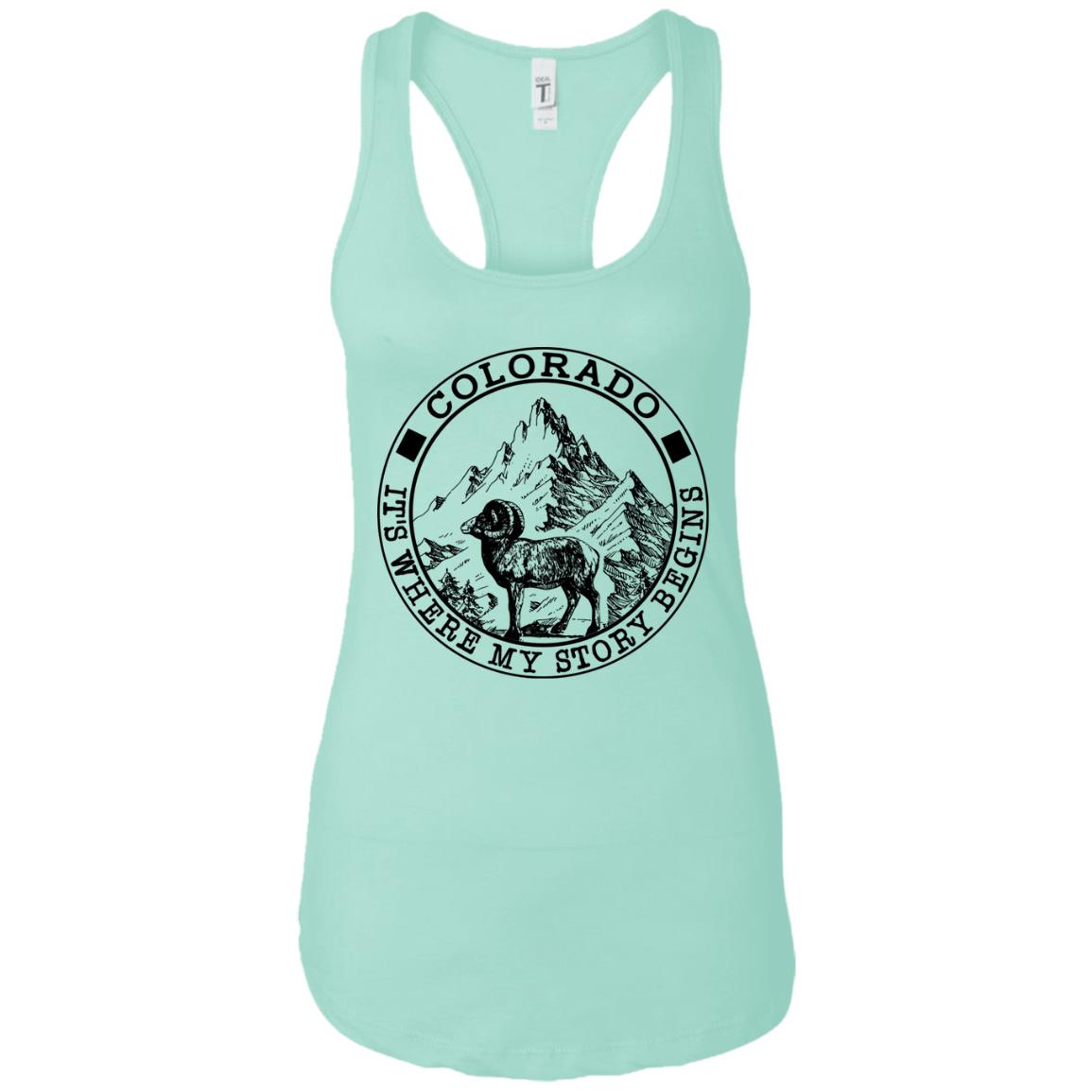 Colorado It's Where My Story Begins Hoodie - Hoodie Teezalo