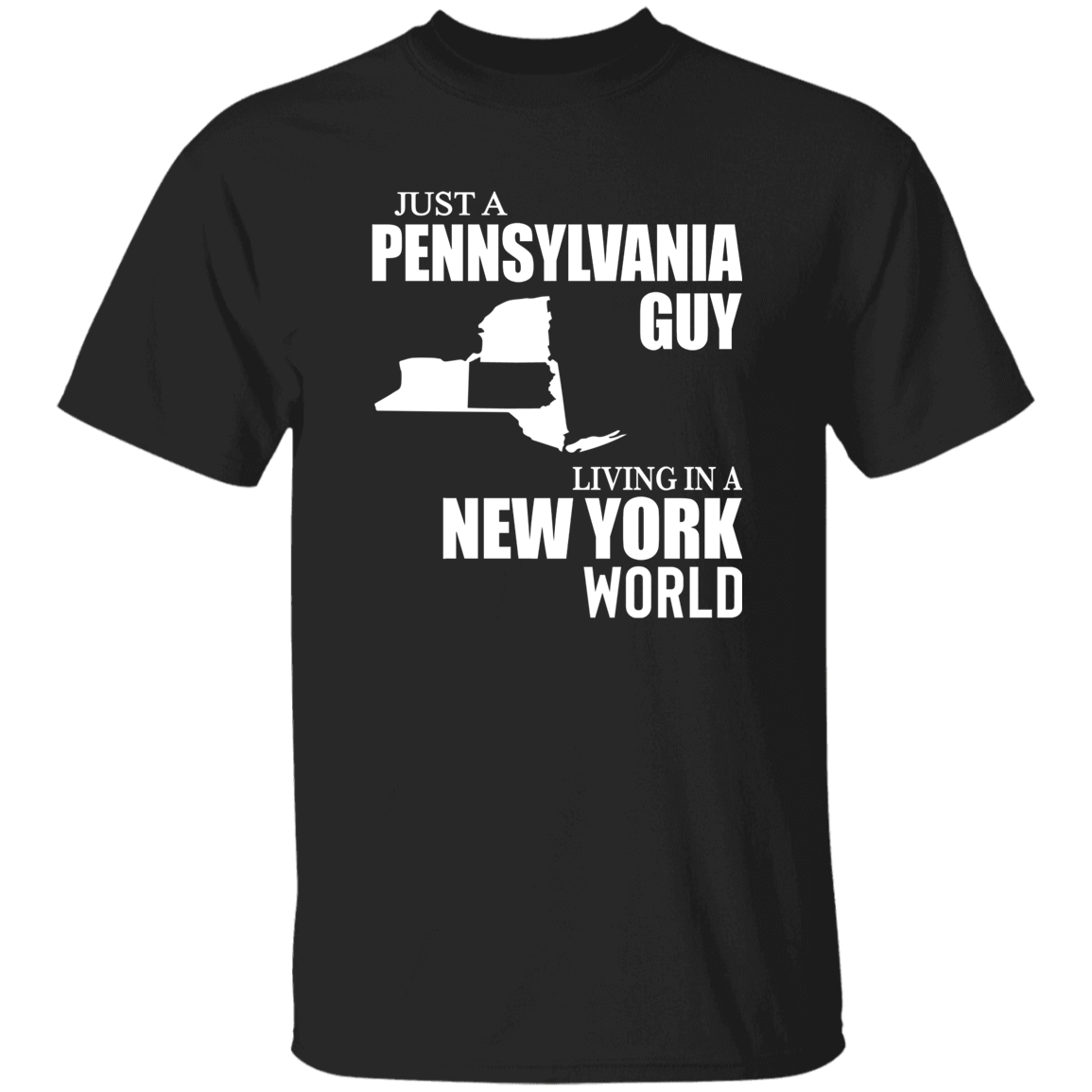 Just A Pennsylvania Guy Living In A New York World