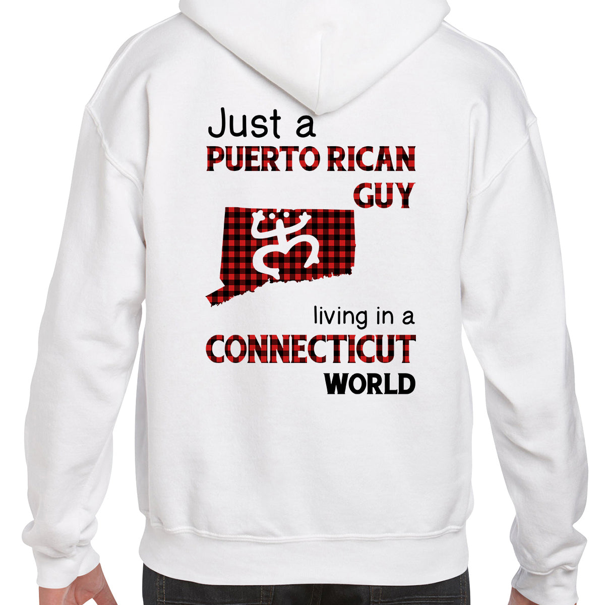 Just A Puerto Rican Guy Living In A Connecticut World T-shirt