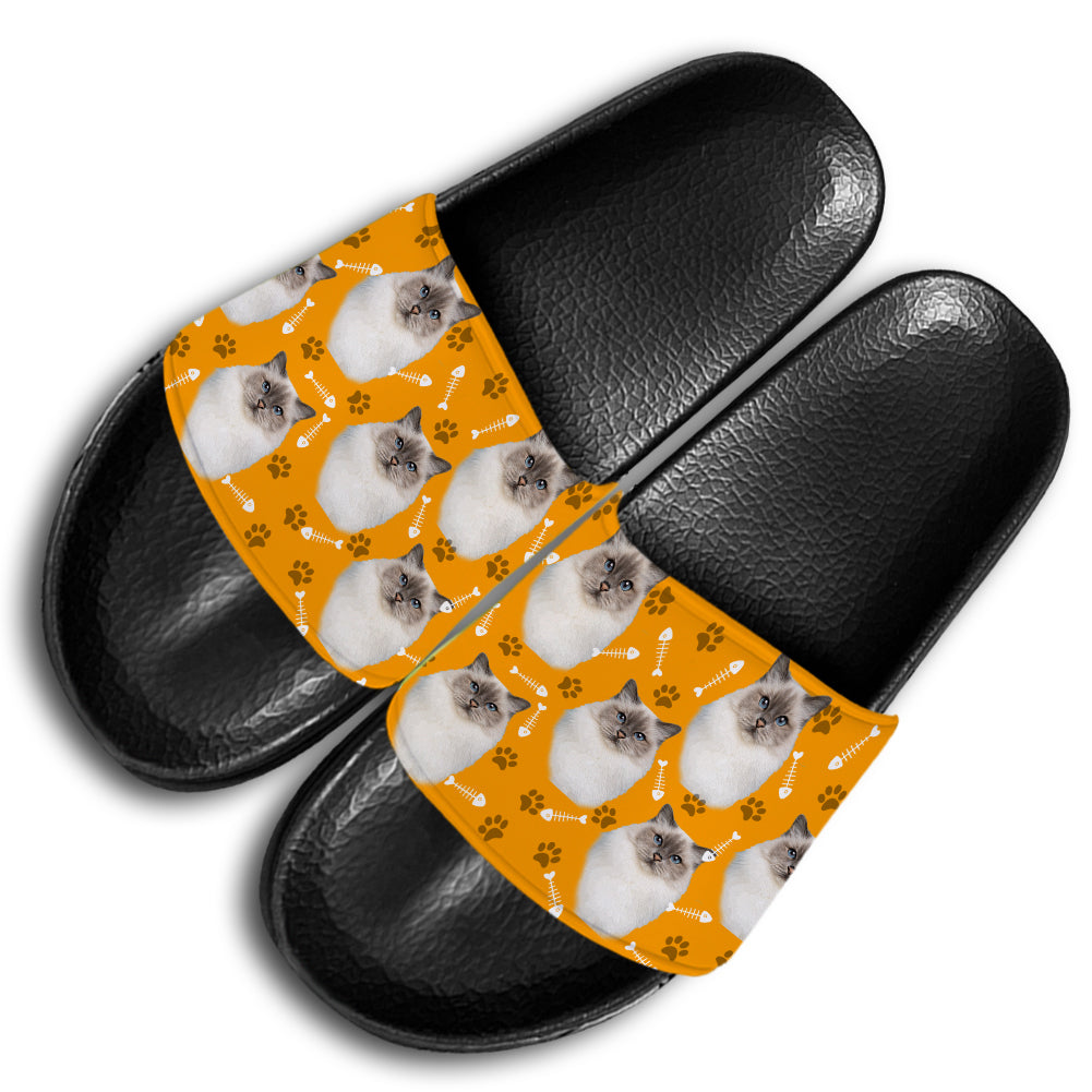 Custom Cat Breeds, Photo Slide Sandals