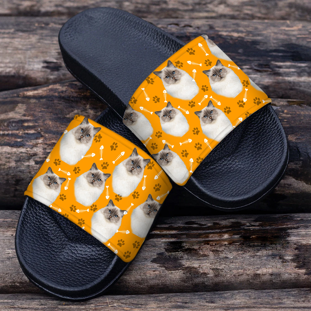Custom Cat Breeds, Photo Slide Sandals