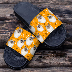 Custom Cat Breeds, Photo Slide Sandals