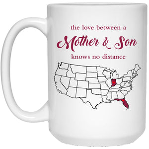Florida Indiana The Love Between Mother And Son Mug - Mug Teezalo