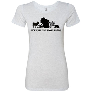 Wisconsin Where My Story Begins Hoodie - Hoodie Teezalo