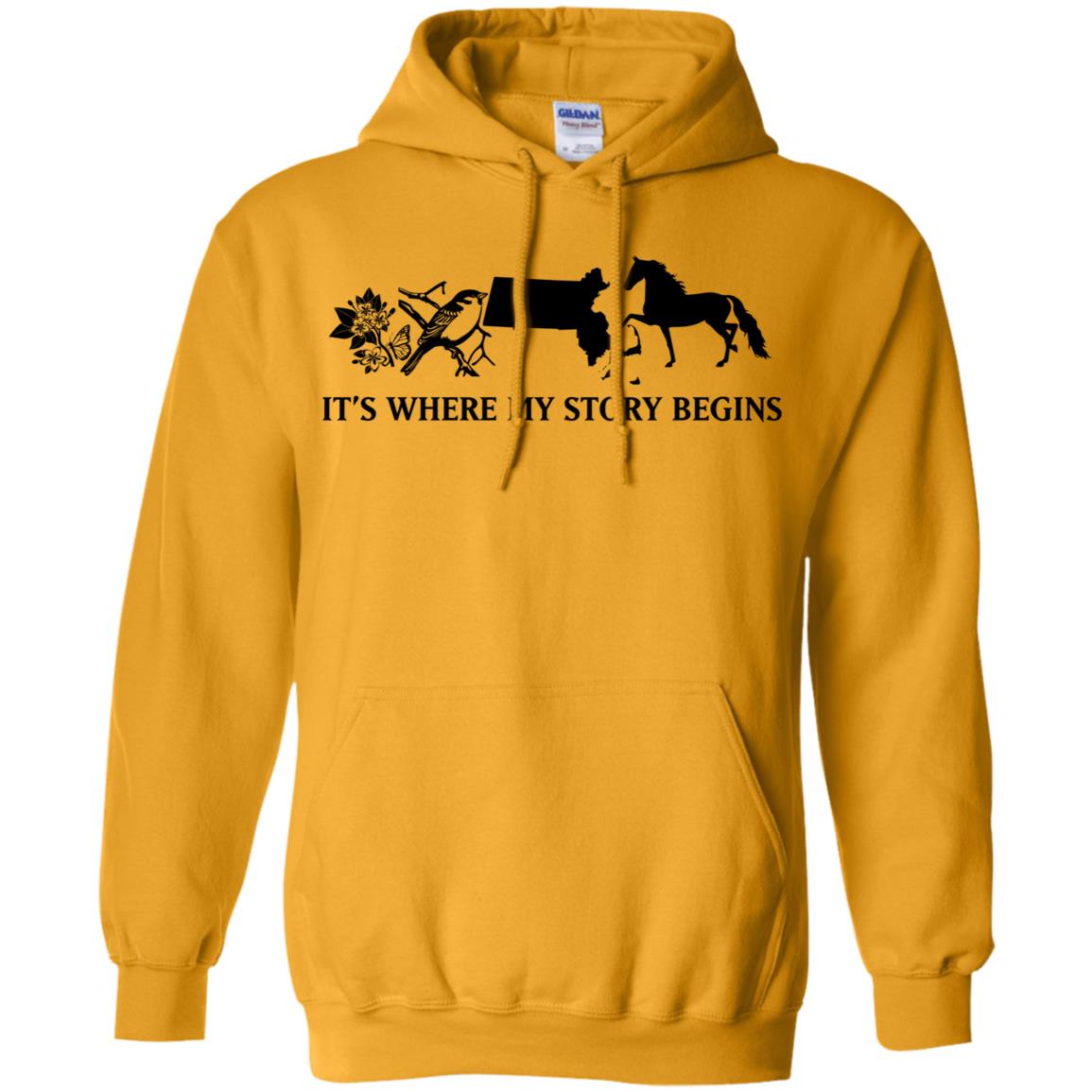 Massachusetts Where My Story Begins Hoodie - Hoodie Teezalo