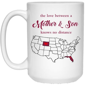 Florida Wyoming The Love Between Mother And Son Mug - Mug Teezalo