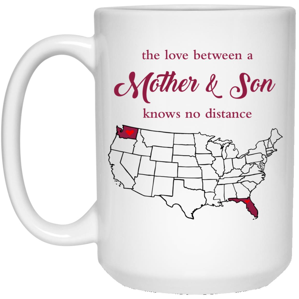 Florida Washington The Love Between Mother And Son Mug - Mug Teezalo