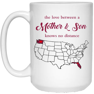 Florida Washington The Love Between Mother And Son Mug - Mug Teezalo