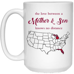 Florida Michigan The Love Between Mother And Son Mug - Mug Teezalo