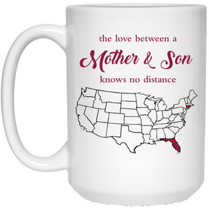 Connecticut Florida The Love Between Mother And Son Mug - Mug Teezalo