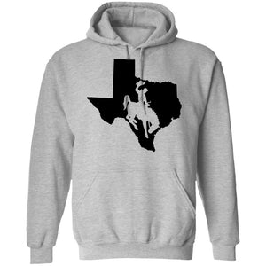 Living In Texas And You're From Wyoming Hoodie - Hoodie Teezalo