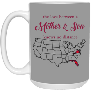 Virginia Florida Love Between Mother And Son Mug - Mug Teezalo