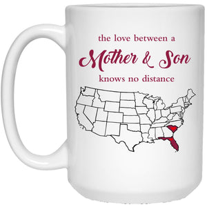Florida South Carolina The Love Between Mother And Son Mug - Mug Teezalo