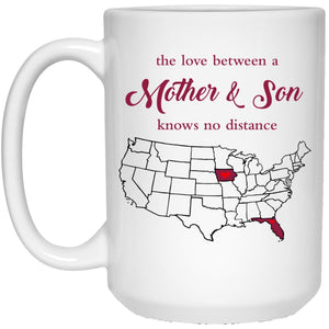 Florida Iowa The Love Between Mother And Son Mug - Mug Teezalo