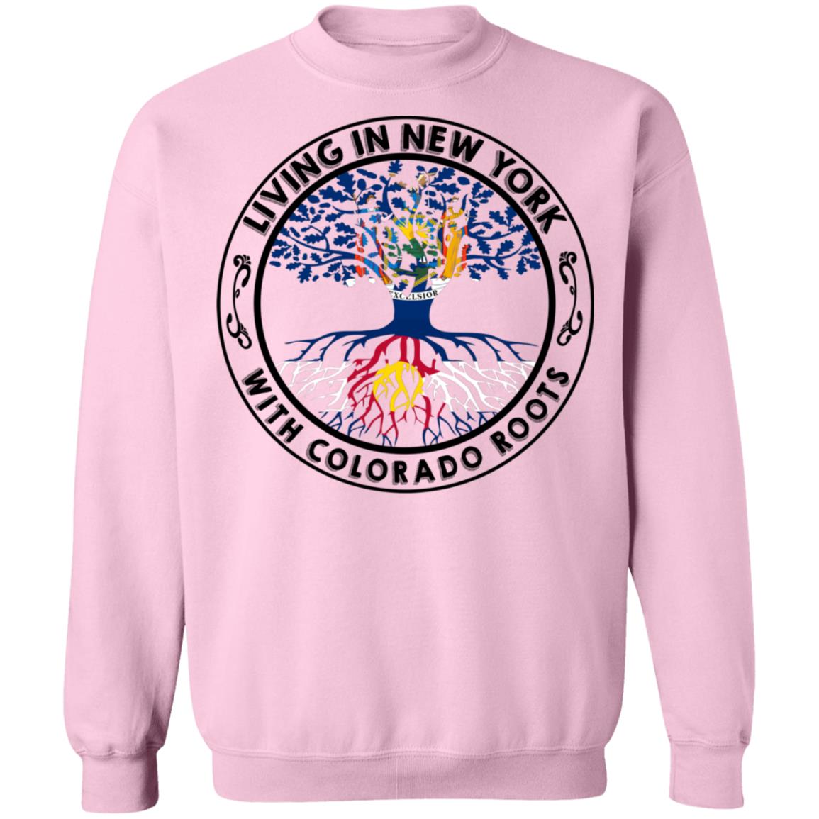 Living In New York With Colorado Roots Hoodie - Hoodie Teezalo
