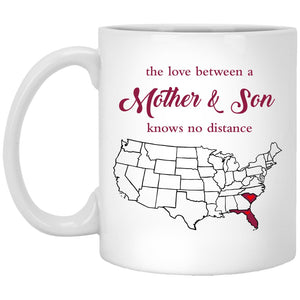 Florida South Carolina The Love Between Mother And Son Mug - Mug Teezalo