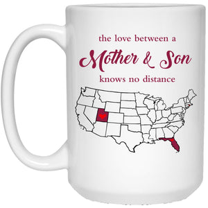 Florida Utah The Love Between Mother And Son Mug - Mug Teezalo