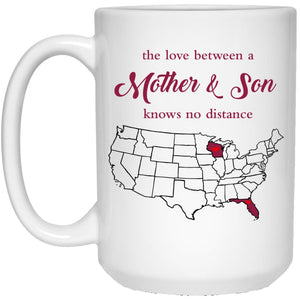 Florida Wisconsin The Love Between Mother And Son Mug - Mug Teezalo