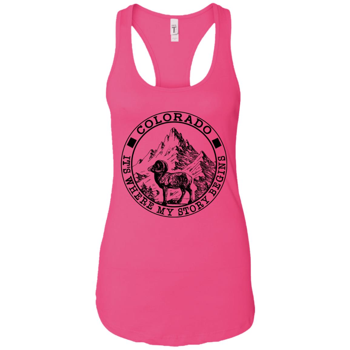 Colorado It's Where My Story Begins Hoodie - Hoodie Teezalo