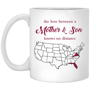 Florida Virginia The Love Between Mother And Son Mug - Mug Teezalo