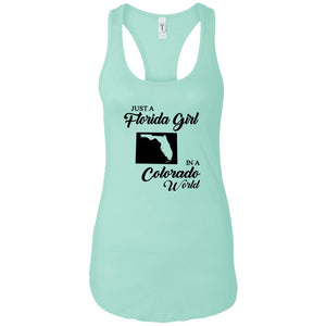 Just A Florida Girl In A Colorado World T-Shirt - T-Shirt Teezalo