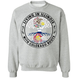 Living In Illinois With Colorado Roots Hoodie - Hoodie Teezalo