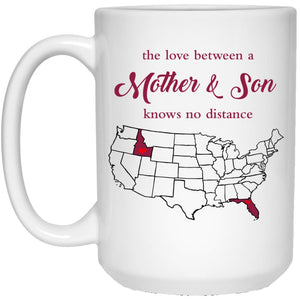 Florida Idaho The Love Between Mother And Son Mug - Mug Teezalo