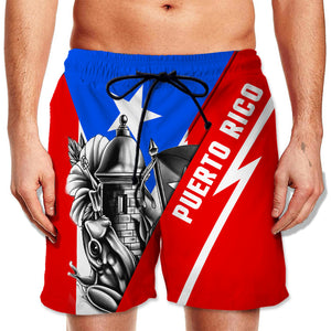 Puerto Rico Coqui Frog And Flag  Men Beach Shorts